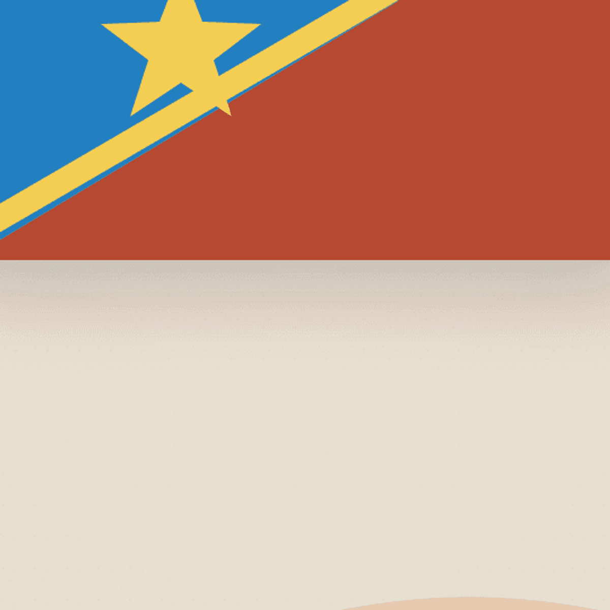 DRC Flag demo close-up